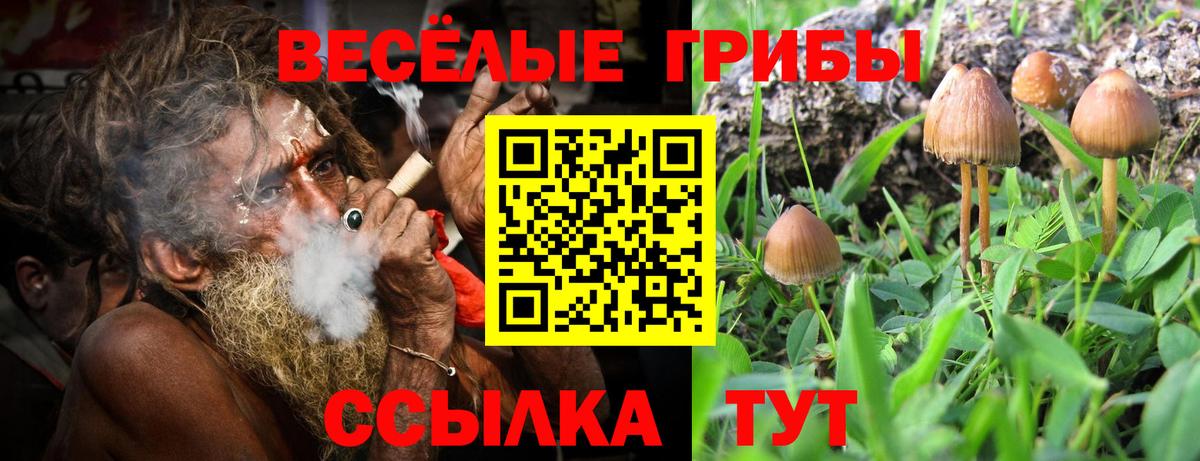 Апшеронск  Галлюциногенные грибы мицелий  Вход с VPN 