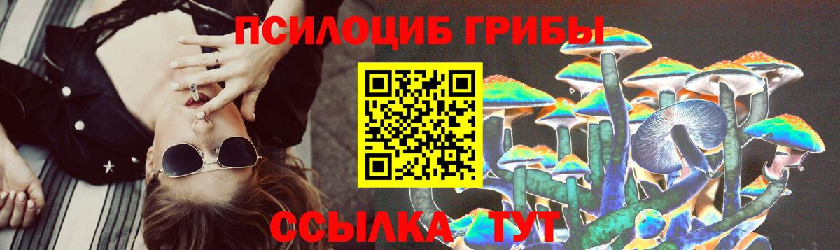 Псилоцибиновые грибы ЛСД Апшеронск